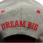 Snapback - Gray/Red